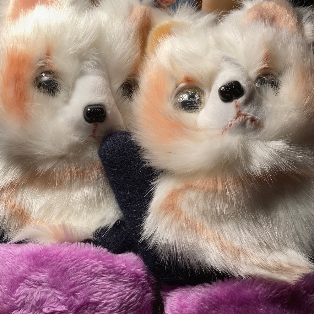 Furry mittens